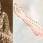 12-noveny-amivel-az-indianok-minden-betegseget-gyogyitottak-az-izuleti-problemaktol-a-rakig