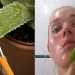 mindennap-aloe-verat-ken-az-arcara-dobbenetes-hogy-mi-tortenik-7-nap-utan