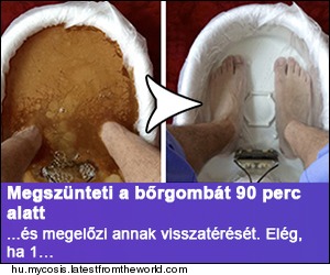 qeq24eq
