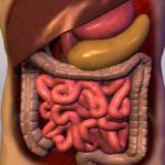 edd-ezt-3-napig-vacsorara-es-a-tested-meg-fogja-koszonni-raadasul-az-is-tetszeni-fog-amit-a-tukorben-latsz