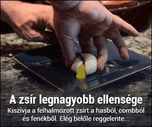 ffGwT56G