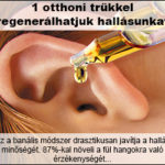 kkl341Kjn